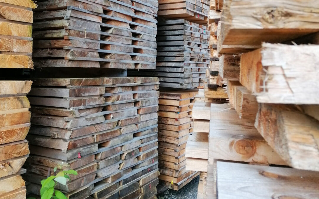 S2 #15 Nachhaltiges Bauen im digitalen Zeitalter | Universität Innsbruck